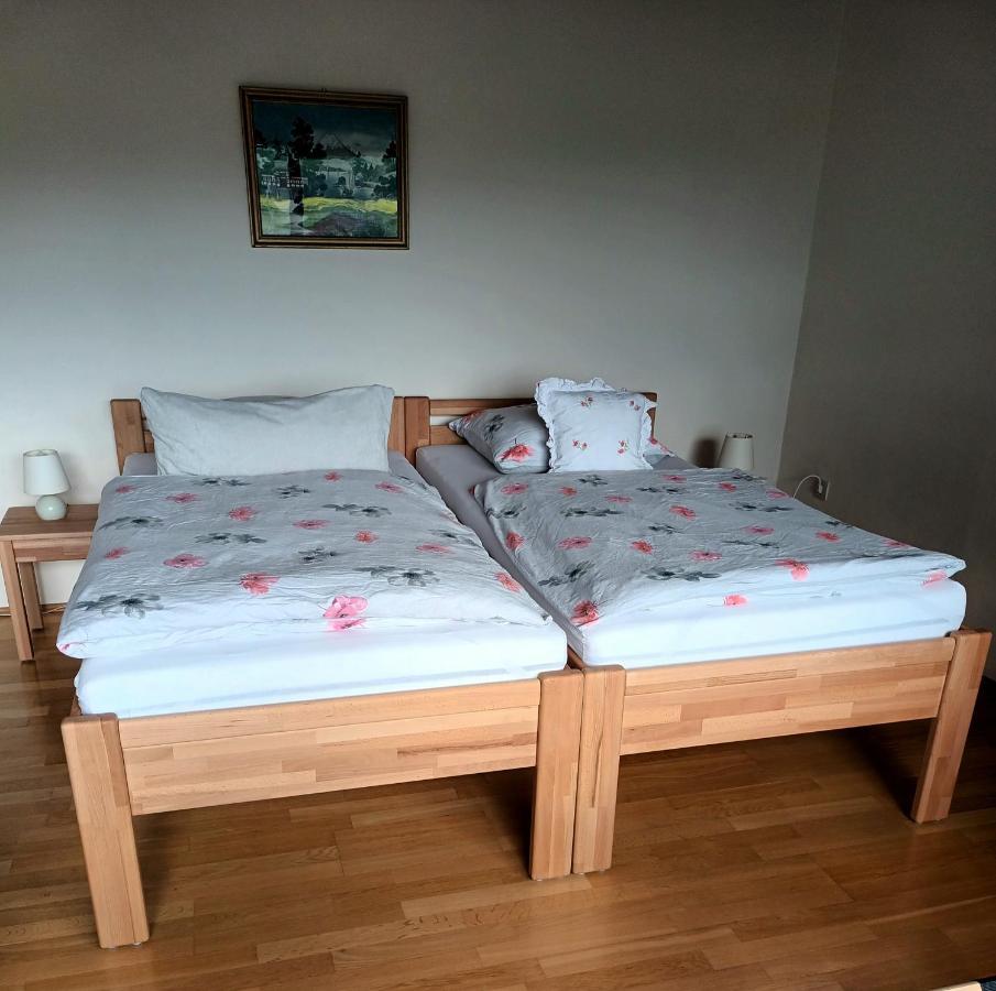 Buedingen-Ferienwohnung Bausch المظهر الخارجي الصورة